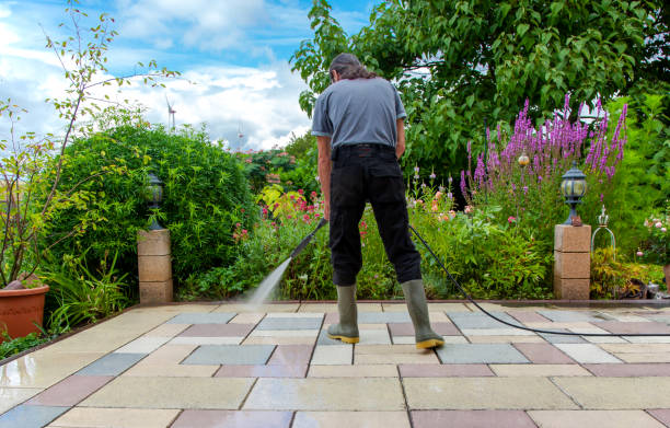 Best Driveway Pressure Washing  in Maineville, OH
